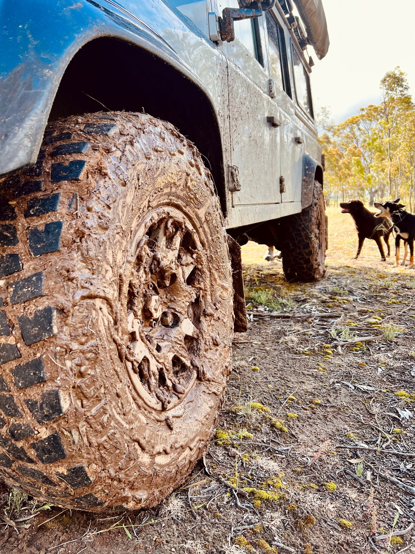 Land Rover Defender & Range Rover 16 x 7" ET0 Evo Corse Dakar Zero